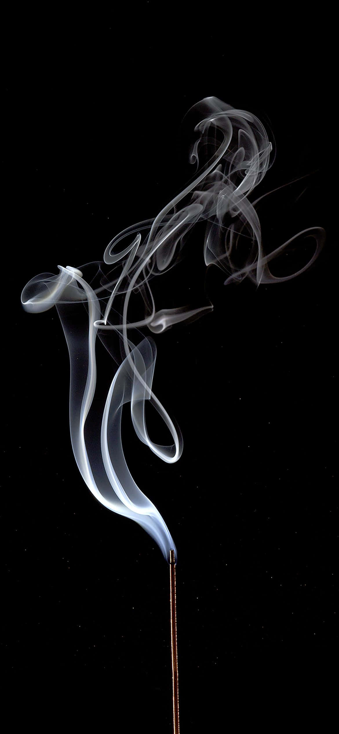 1170x2532 Hvit røyk kreativt skudd Bakgrunner