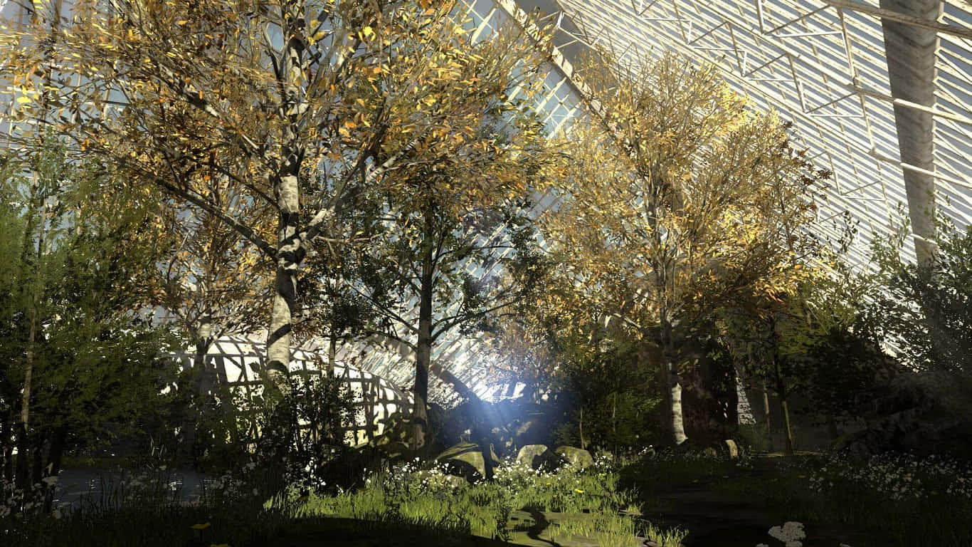 1366x768 The Talos Principle Gehenna Skog Bakgrunn Bakgrunner