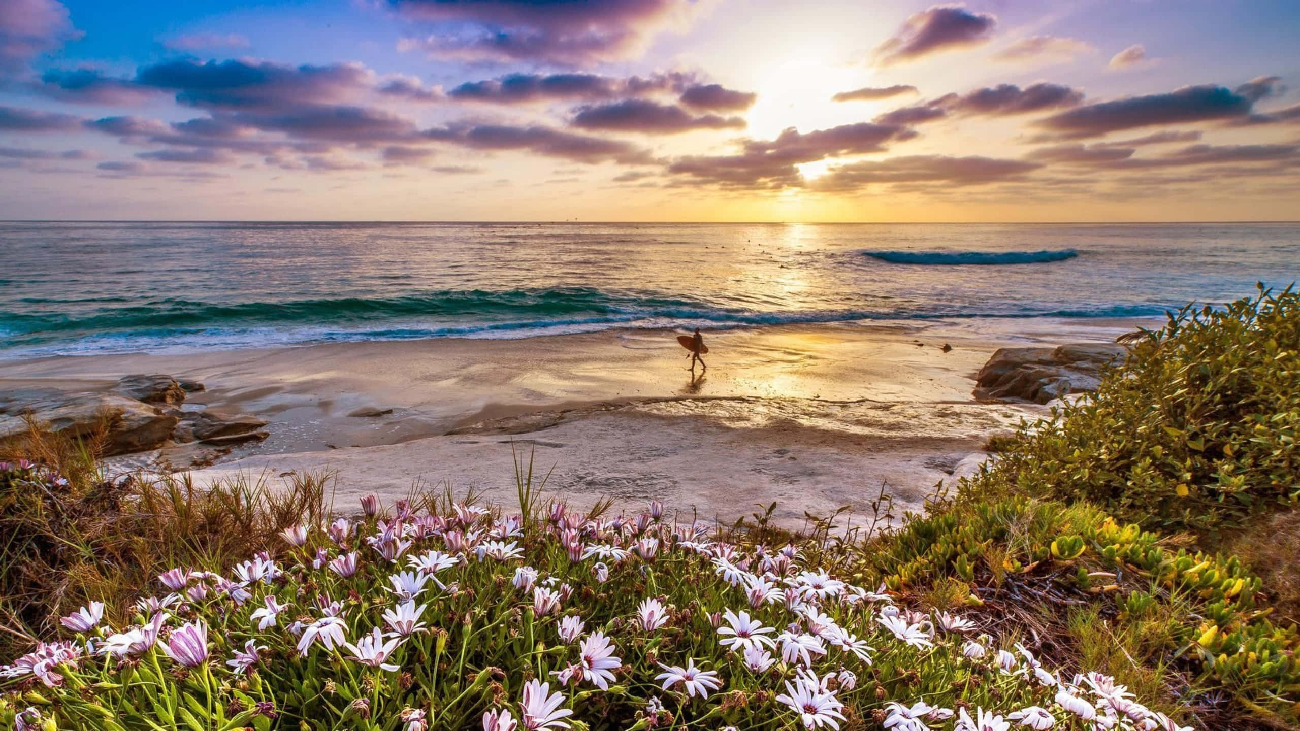 1440p Malibu Surfer Flowers Bakgrunn Bakgrunner