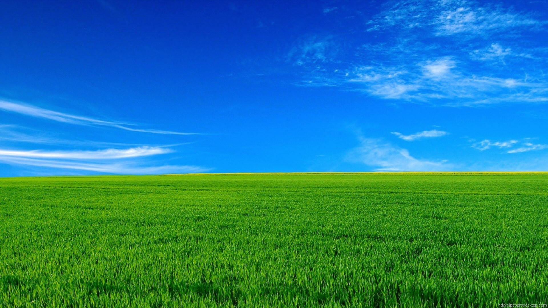 1920x1080 Full HD Natur Grønt Gress Blå Himmel