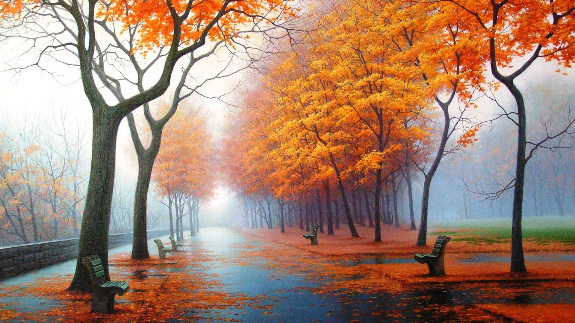 1920x1080 Full HD Natur Oranje Løvtrær Bakgrunner
