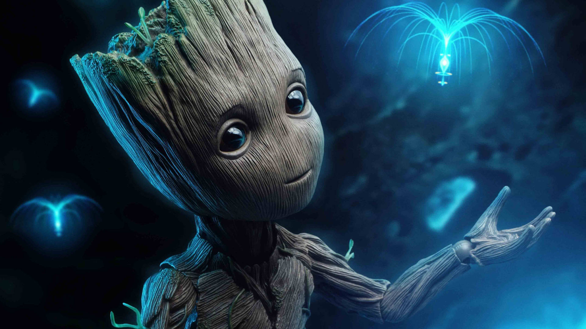 1920x1080 HD Groot med blå veke Bakgrunner
