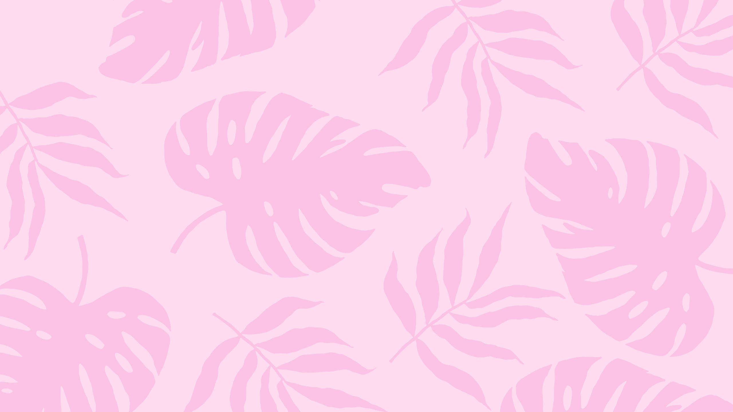 2560x1440 Sommerplanter Rosa Estetikk Bakgrunner