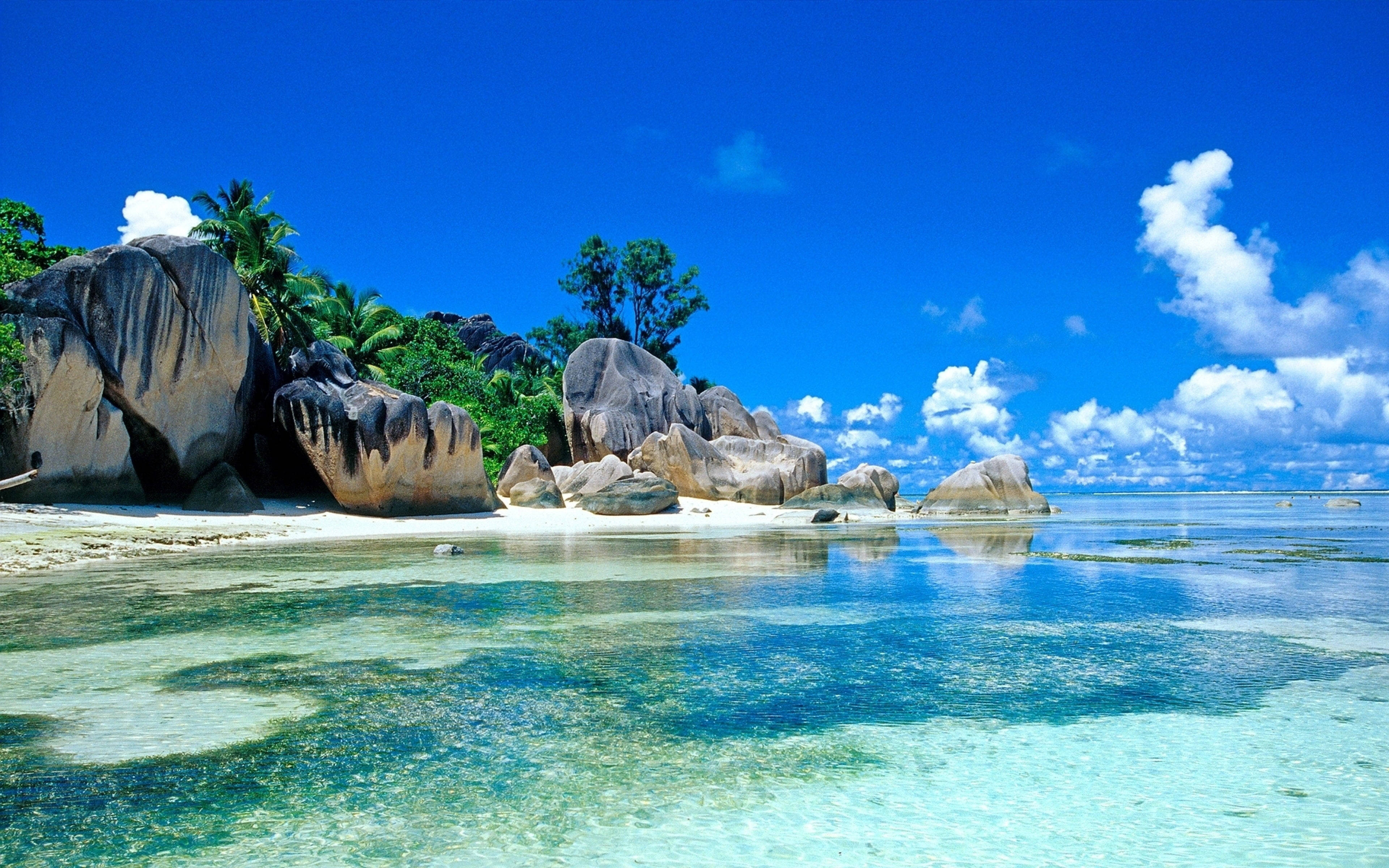 32K Ultra HD Natur Strand Klart Vann Bakgrunner