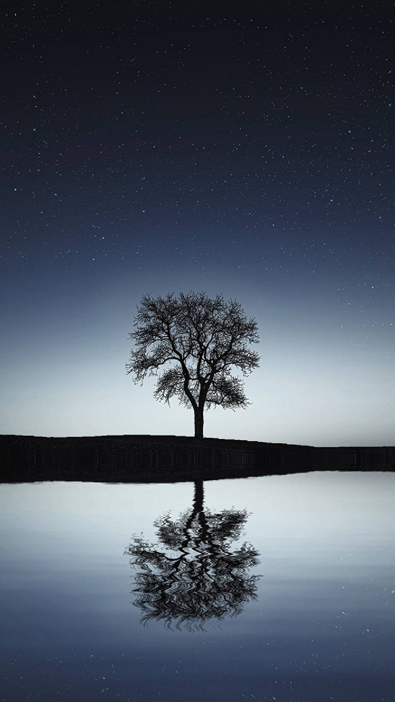 4K Android Svart Tre — Nattehimmel GIF Bakgrunner