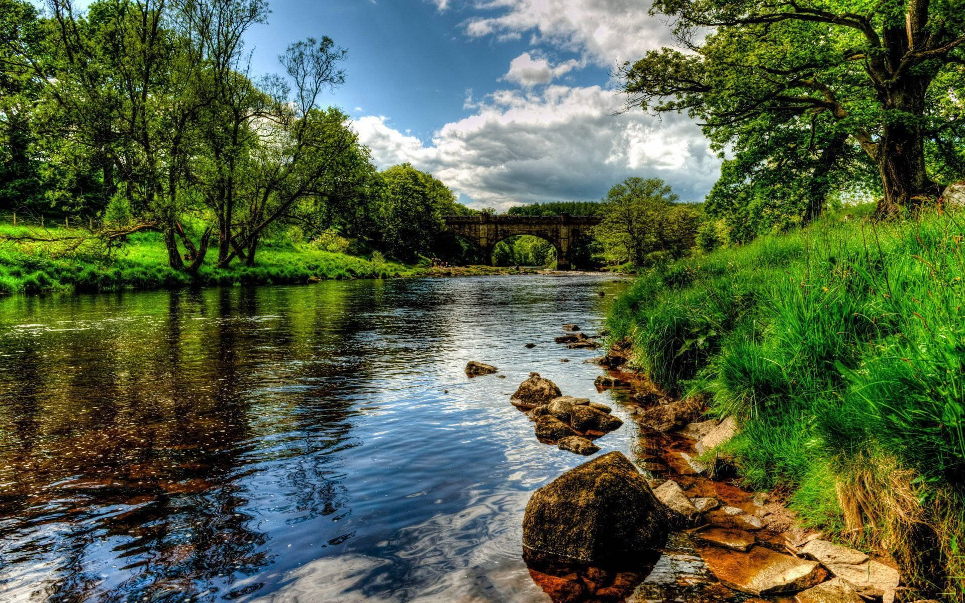 4K Natur Elvebredd Bakgrunner