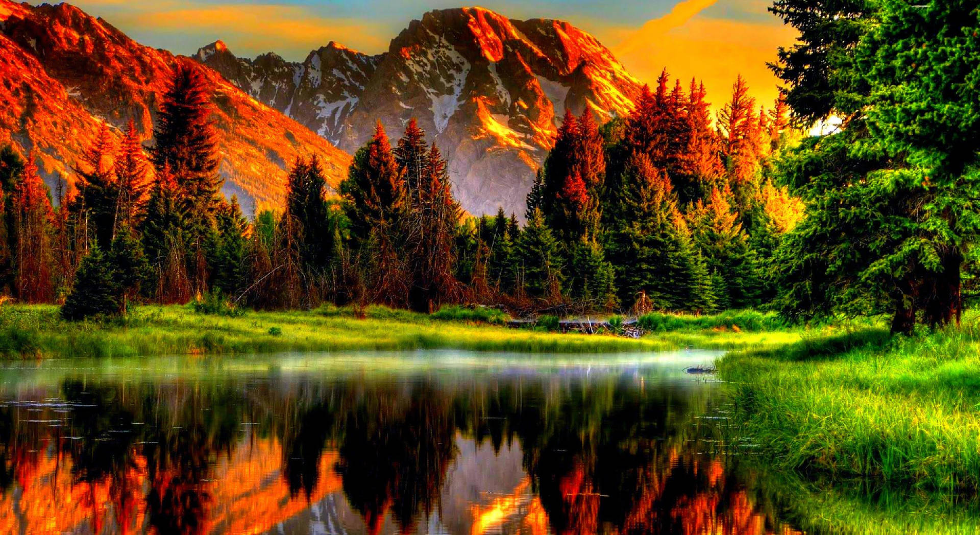4k Natur i den gylne timen