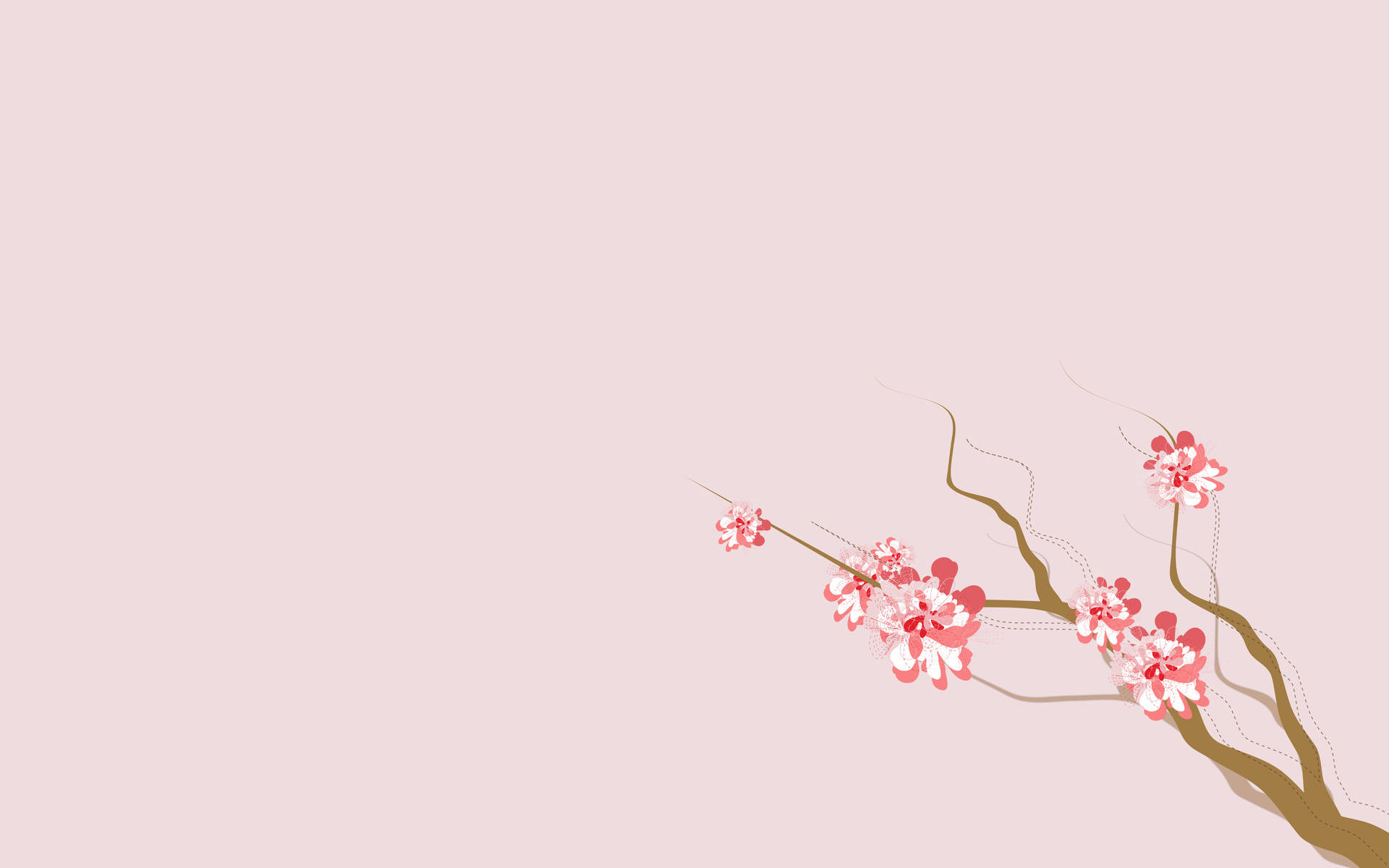 4K Natur Sakura-blomster Bakgrunner