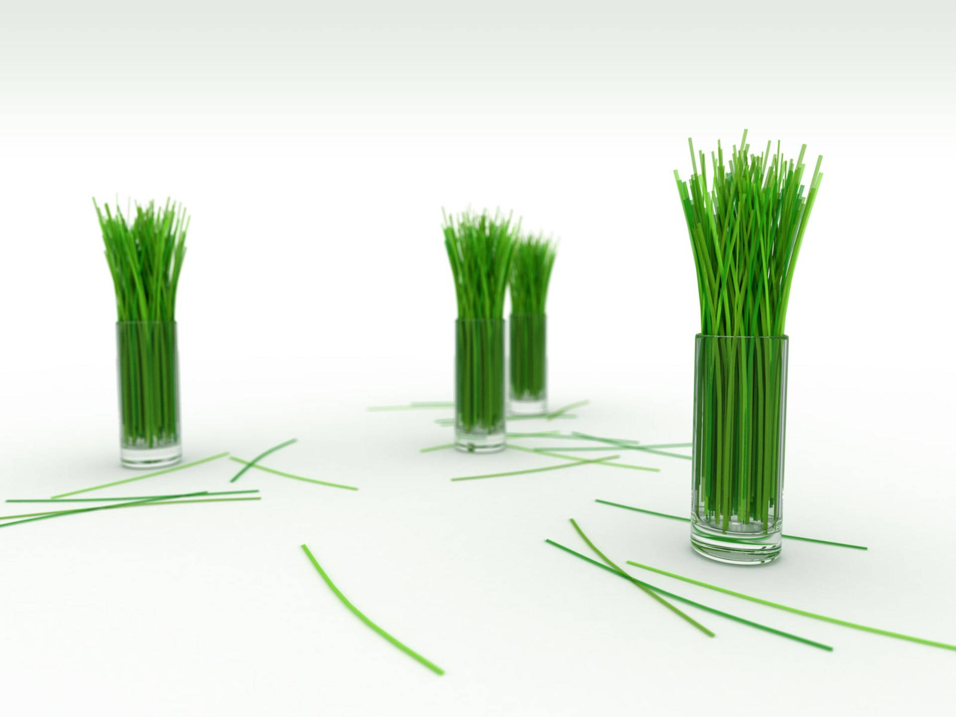 4K Natur Sitrongress Bakgrunner