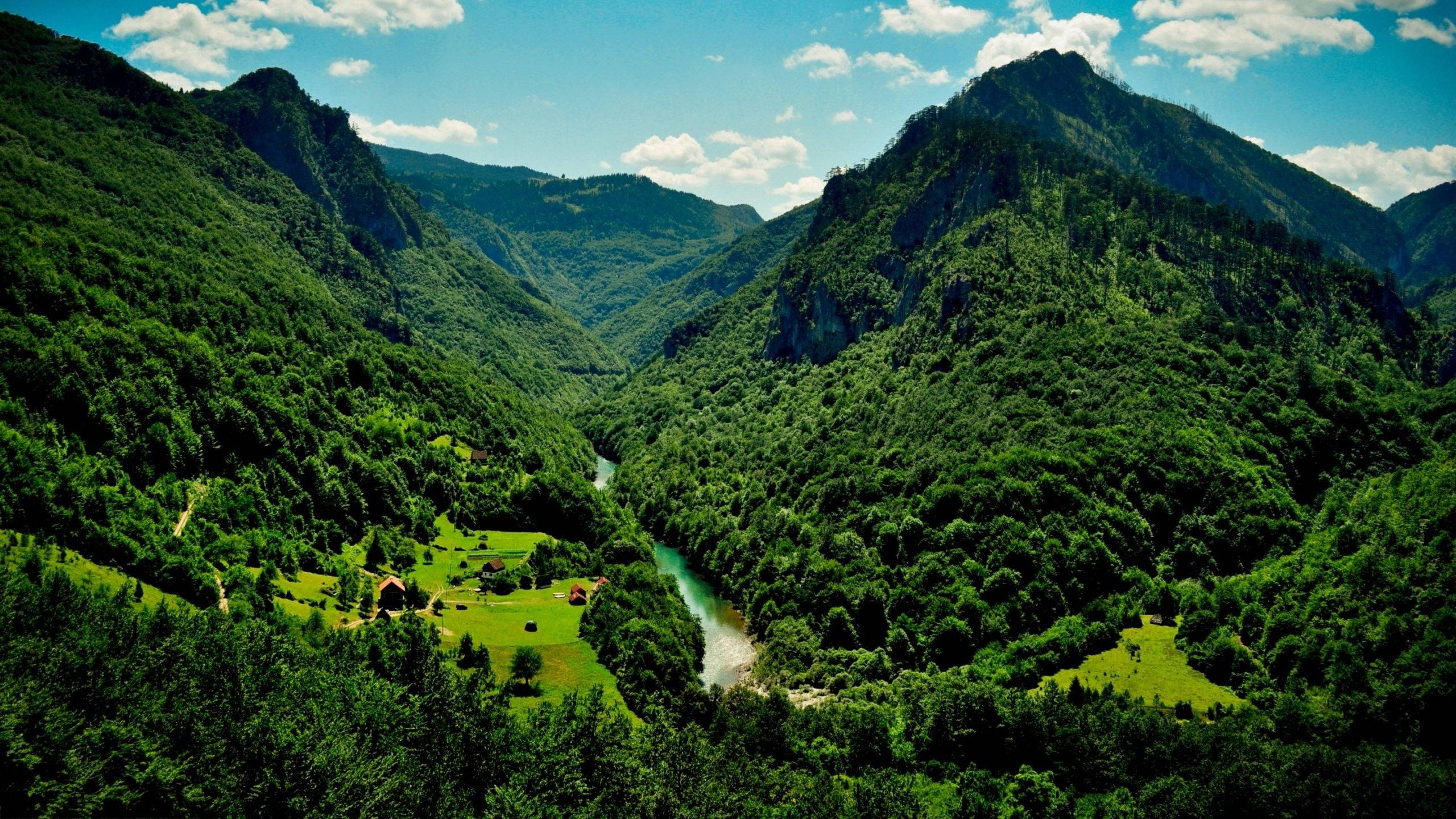 4K Naturdal Bakgrunner