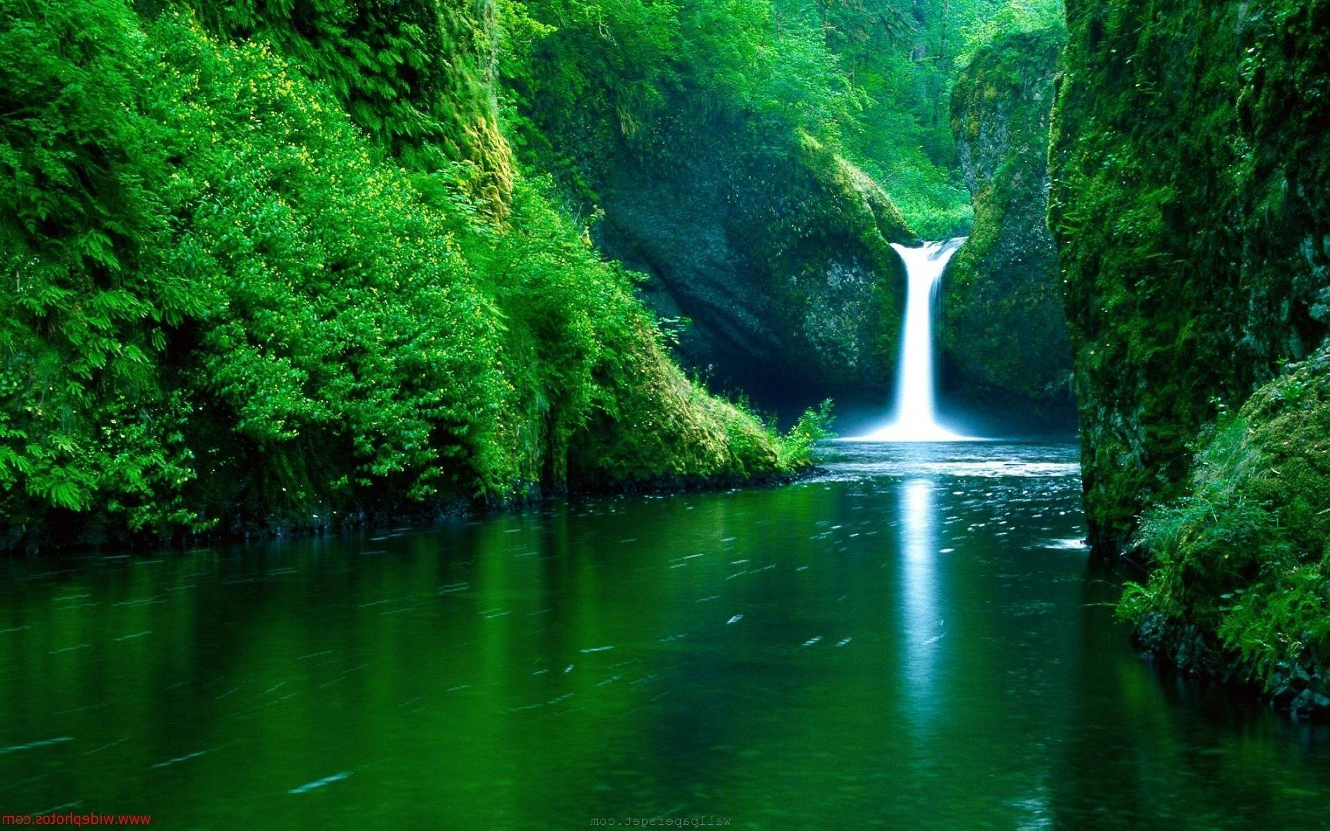 4k Naturfoss