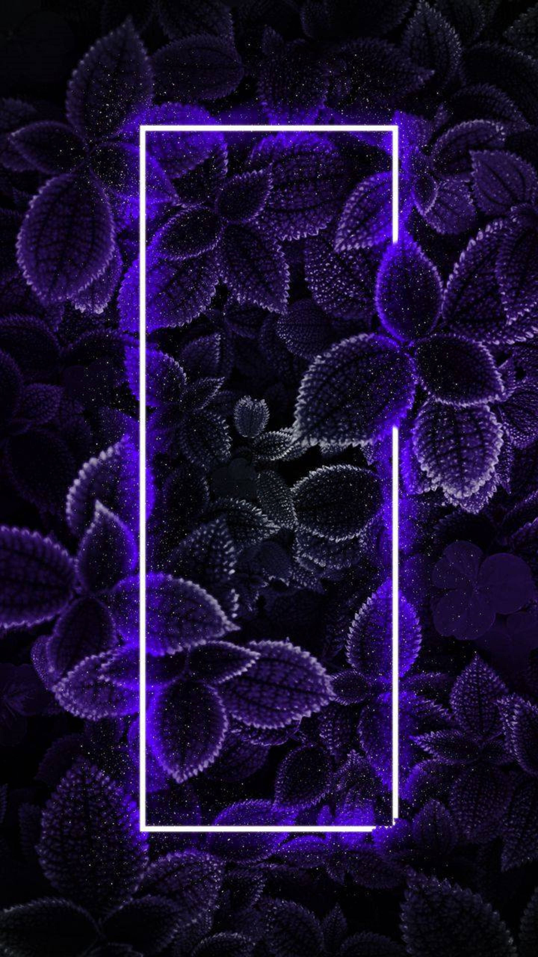 4K Neon iPhone Løvverk Bakgrunner