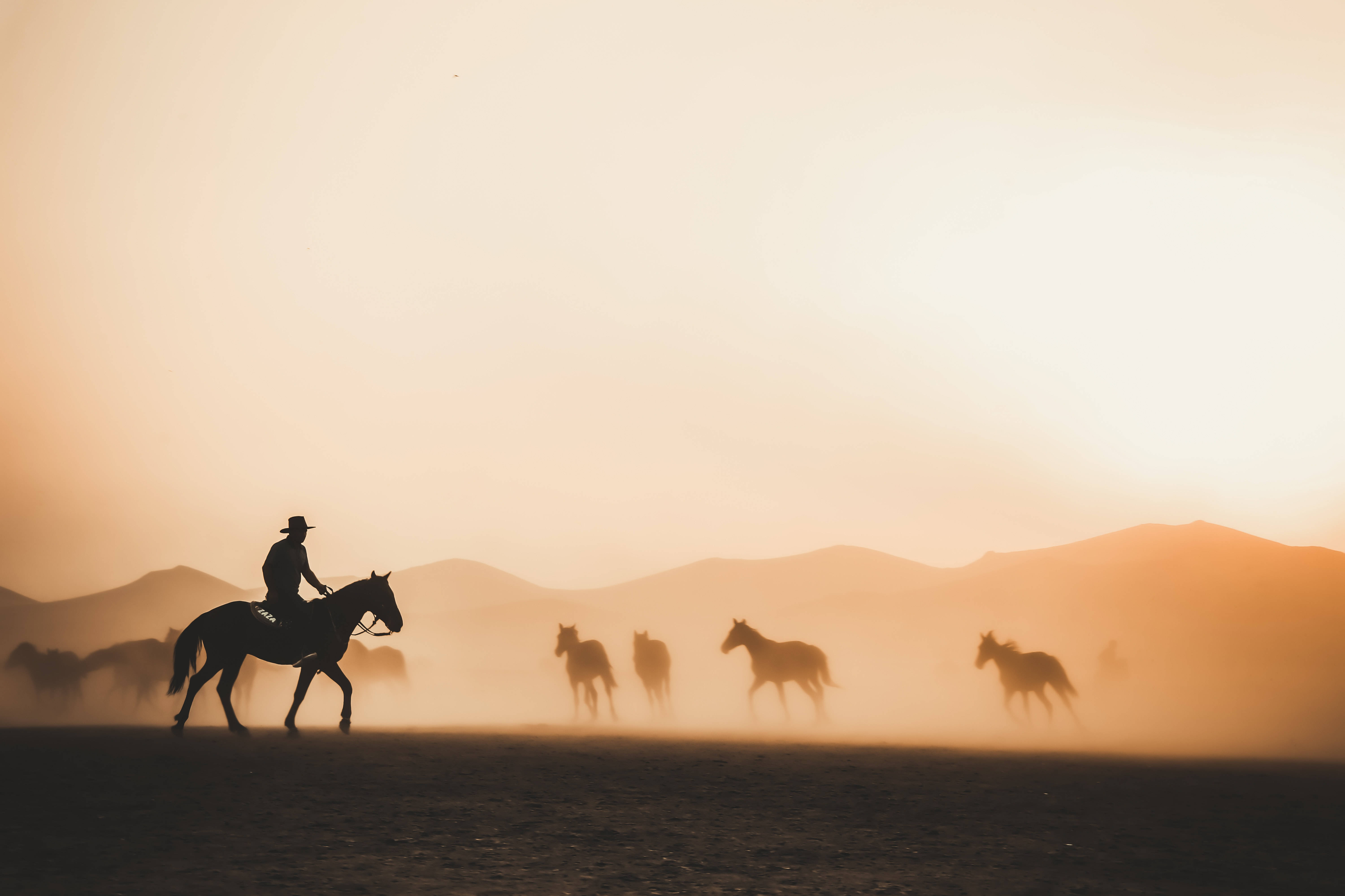 4K Nettbrett Cowboy som Samler Hester Bakgrunner