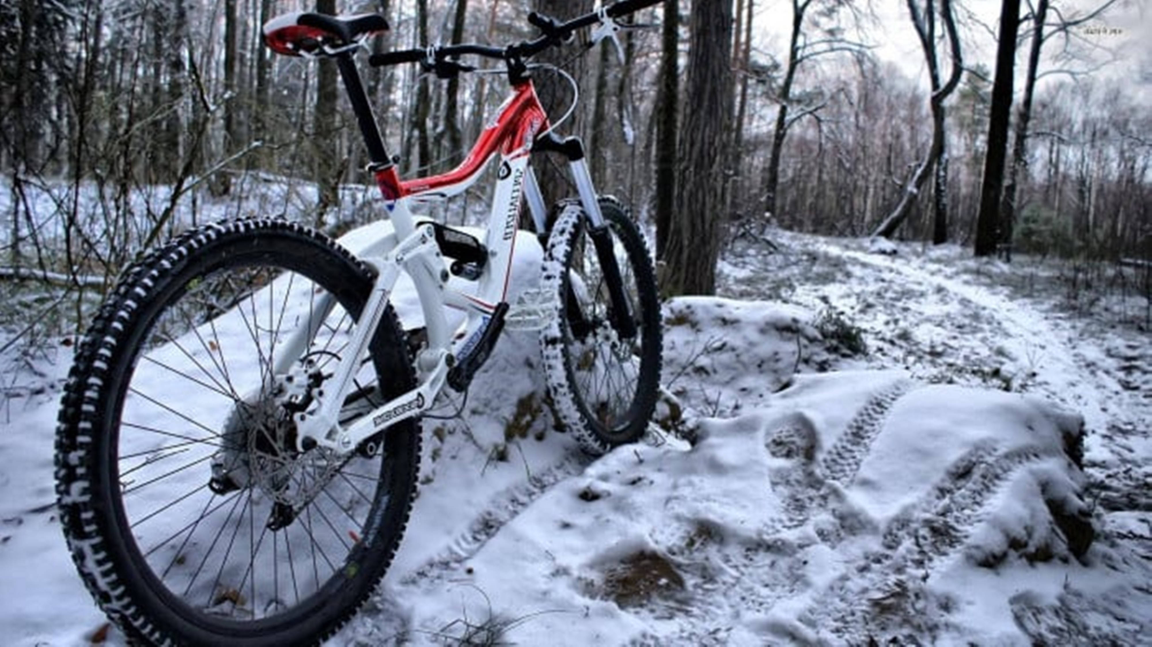 4K Terrengsykkel i Snødekt Skog Bakgrunner