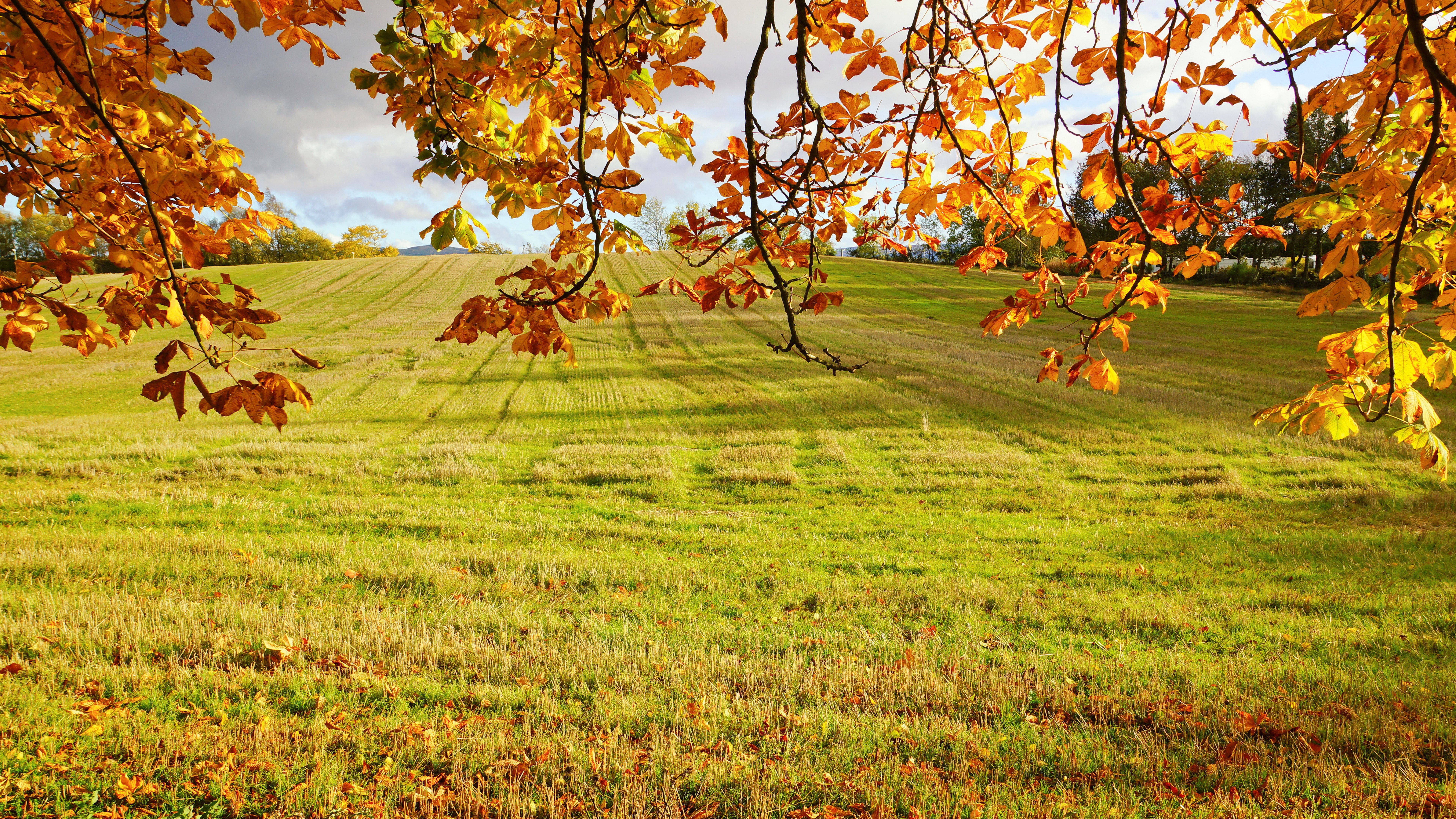 8K 7680x4320 Ultra HD-oppløsning skrivebordsfelt Bakgrunner