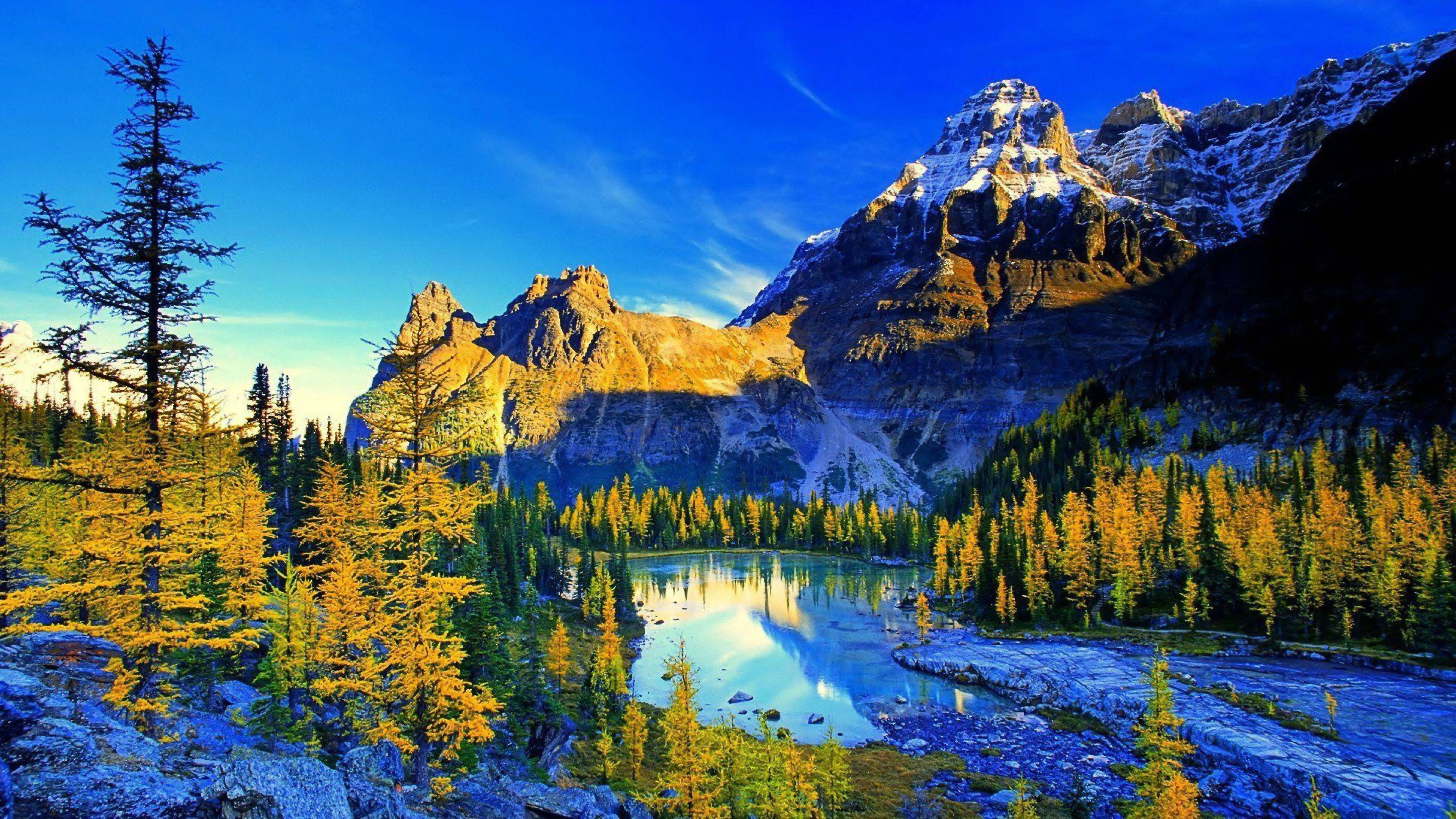 8K Ultra HD Naturfjellreservat Bakgrunner
