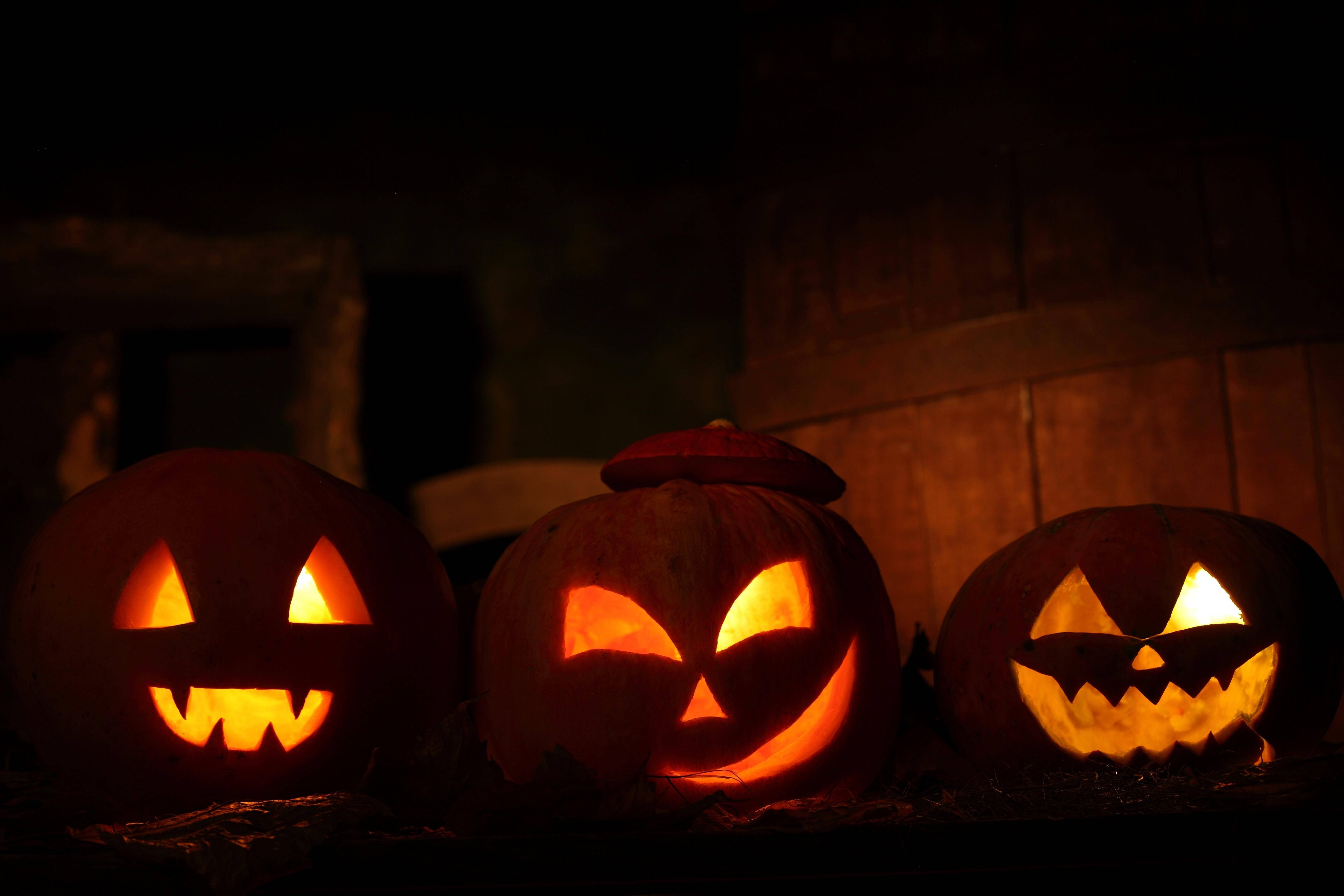 Akkurat i tide til halloween, utskårne gresskar opplyst av fullmåne Bakgrunner