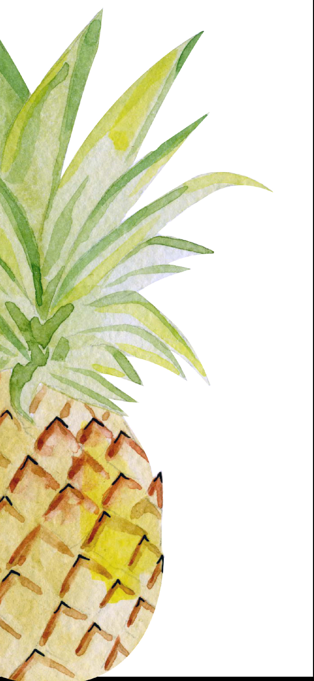akvarell ananas clip art Bakgrunner