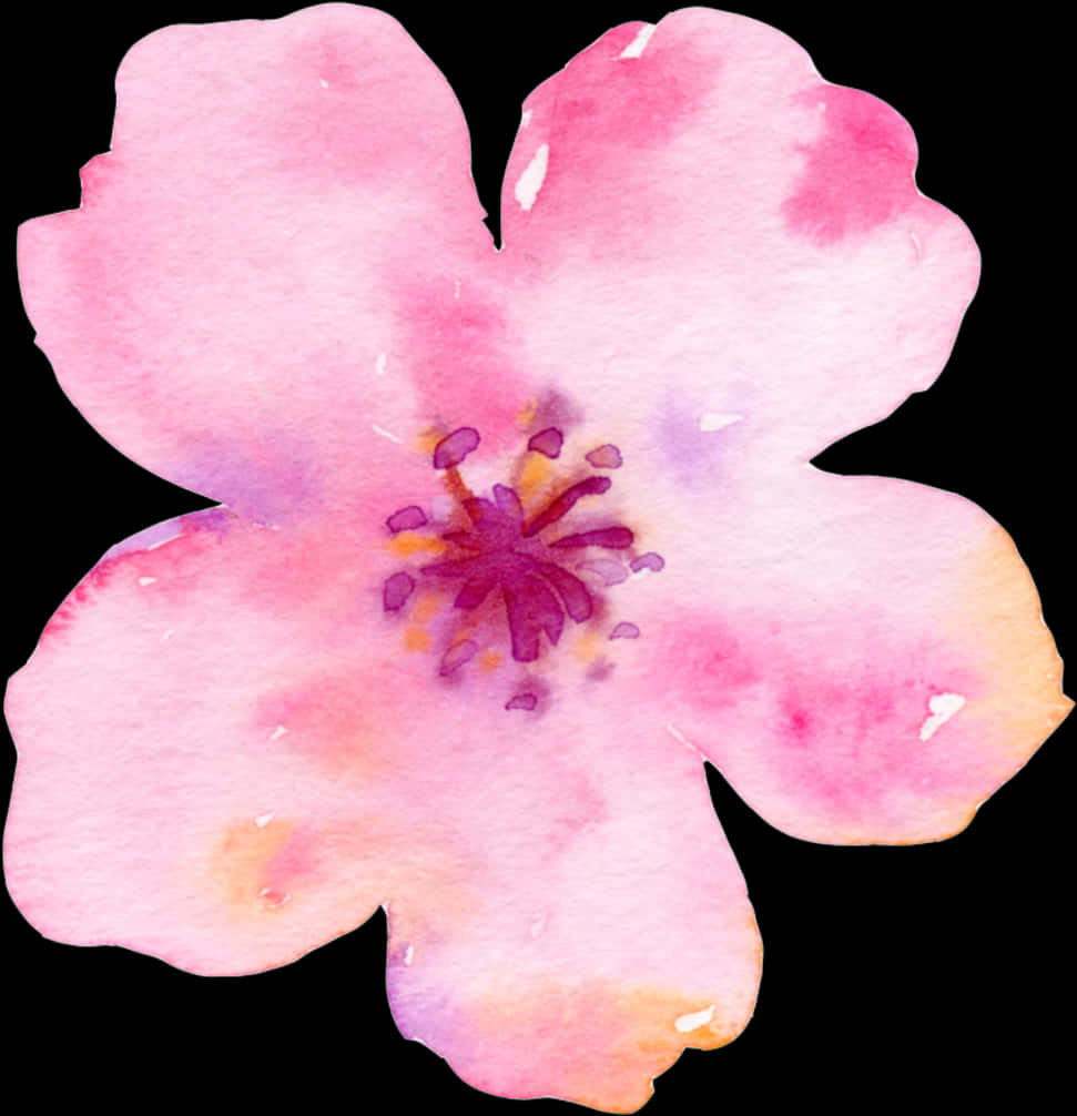 Akvarell_kirsebærblomst_kunstverk Bakgrunner