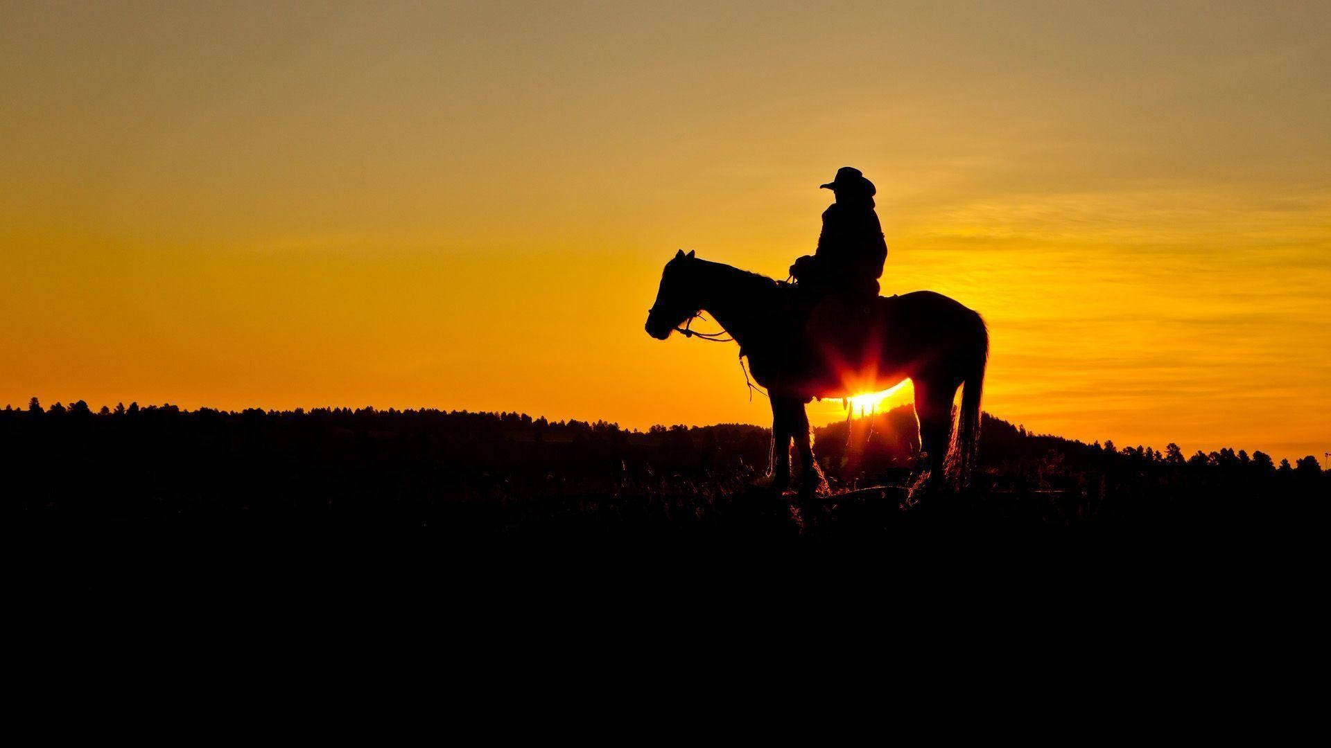 Amerikansk cowboy-silhuett Bakgrunner