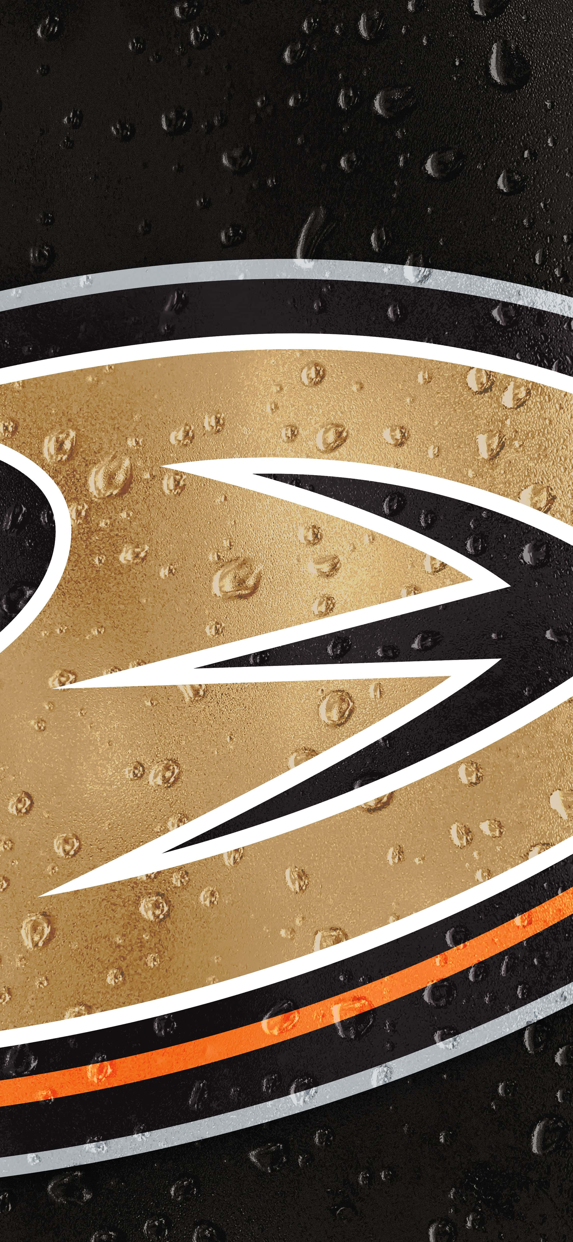 Anaheim Ducks går på isen med stil Bakgrunner