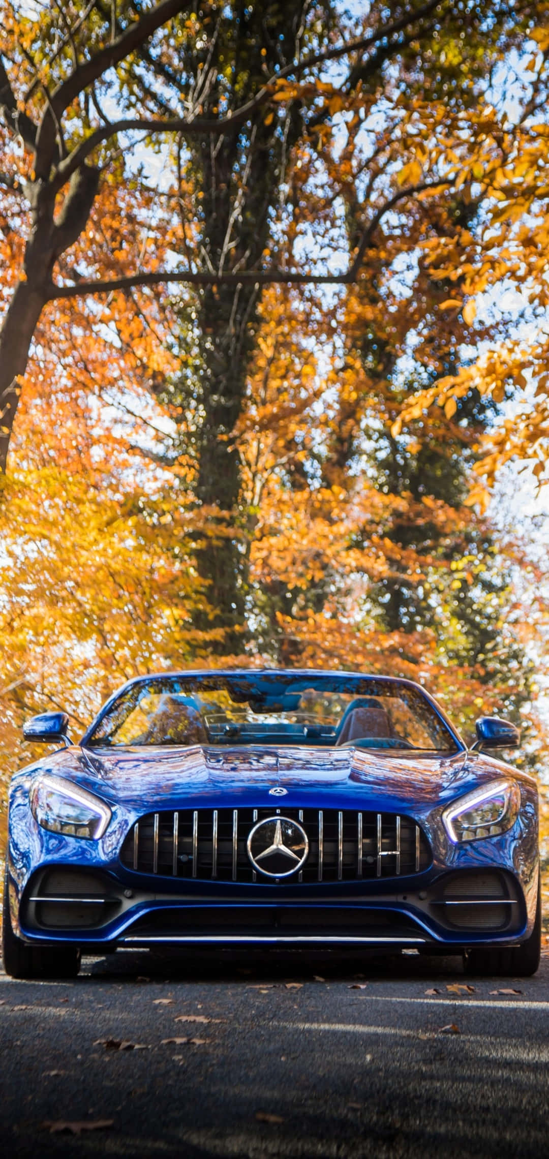 Android Amg Gt-r Gule Trær Bakgrunn Bakgrunner