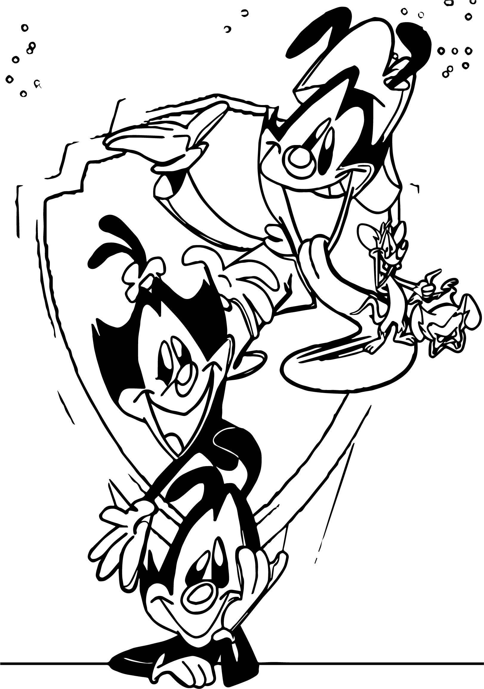 Animaniacs' Warner-søsken skissekunst Bakgrunner