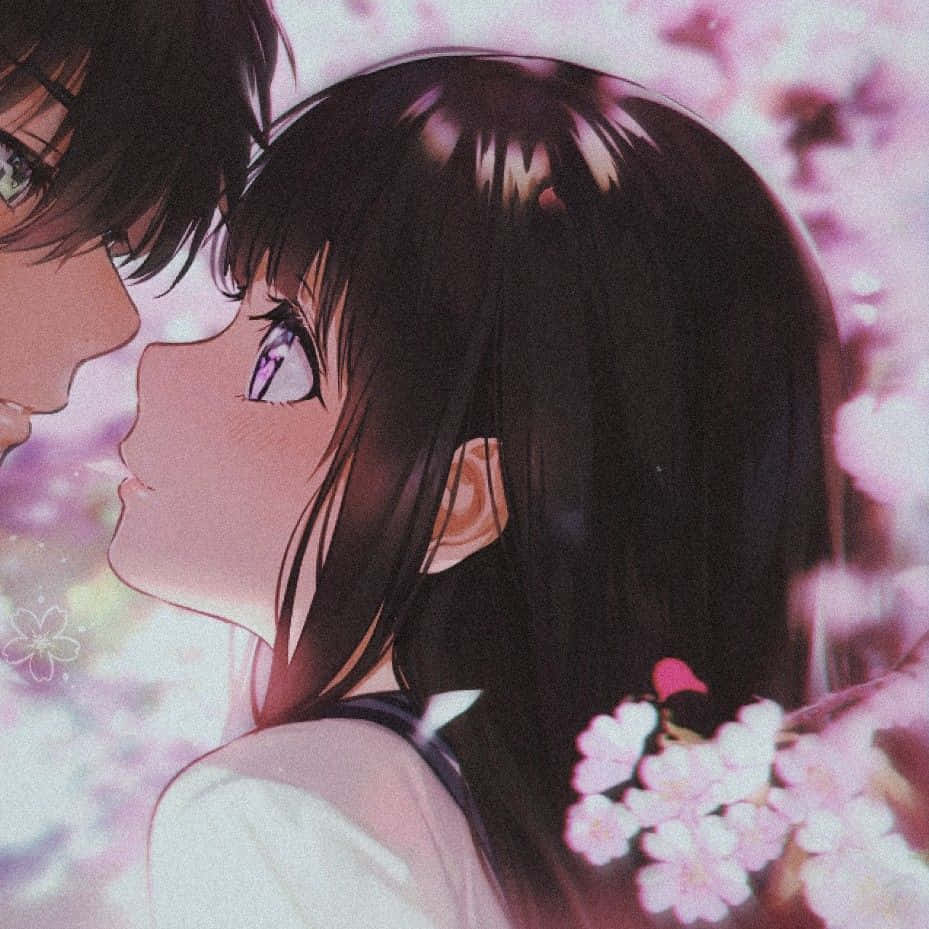 Anime-duo i aksjon Bakgrunner