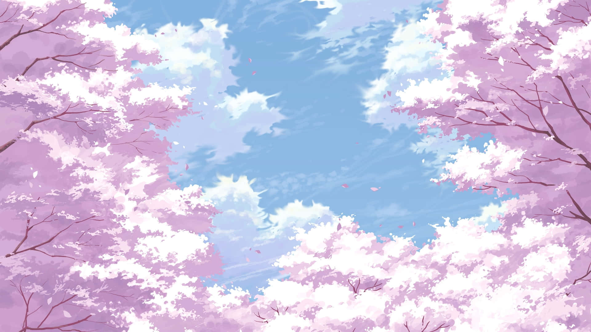 Anime Kirsebærblomst Himmel Skyer Bakgrunn Bakgrunner