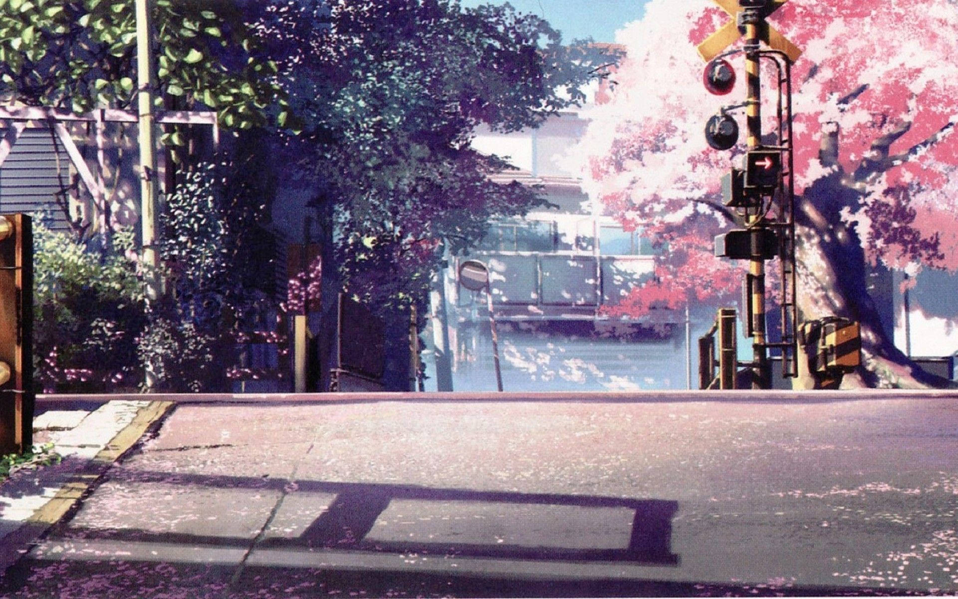 Anime Landskap Kirsebærblomster Bakgrunner