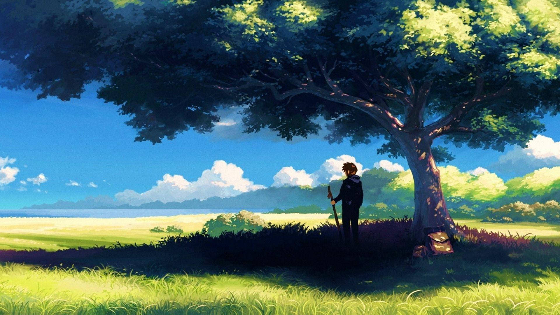 Anime landskap mann under et tre Bakgrunner