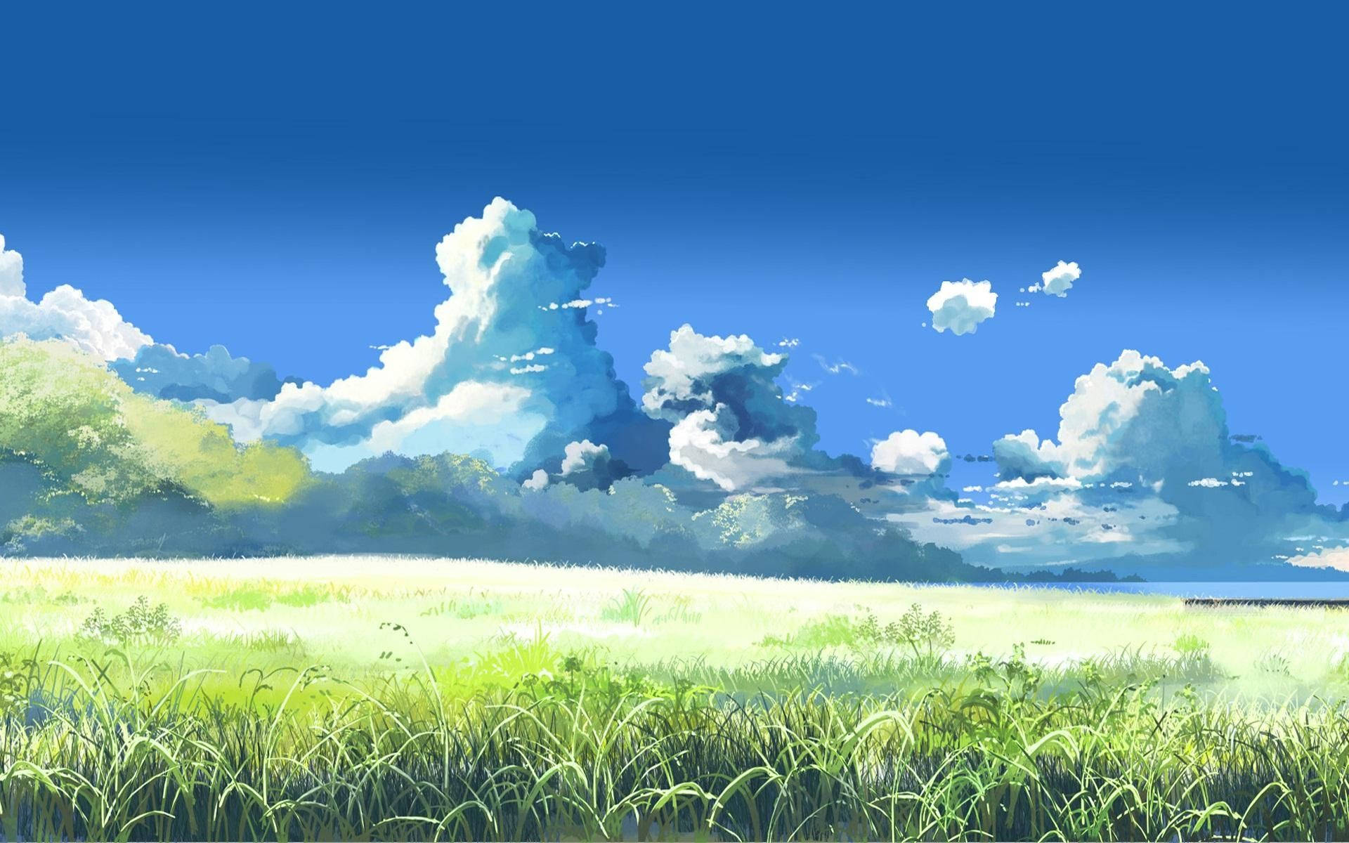 Animegresslandskap Bakgrunner