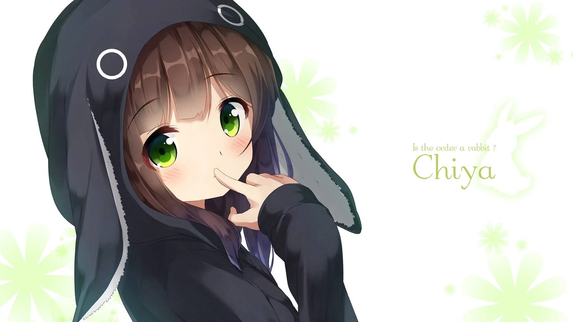 Animejente hettegenser Chiya Bakgrunner