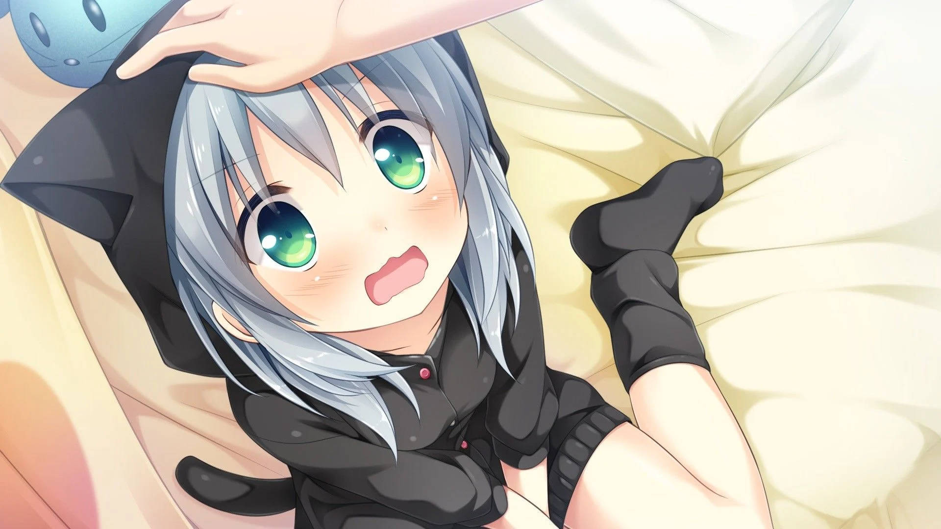 Animejente hettegenser Neko Bakgrunner