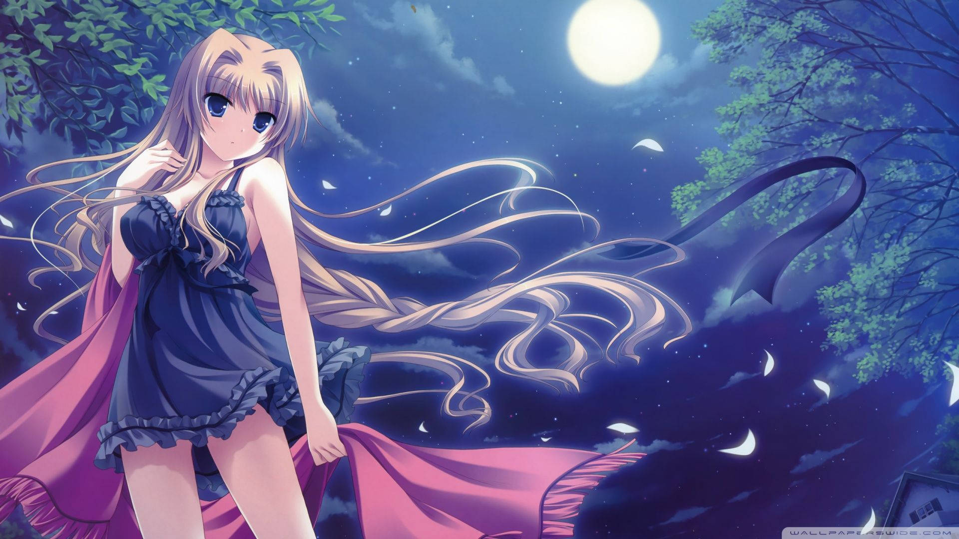 Animejente i Sexy Undertøy Bakgrunner