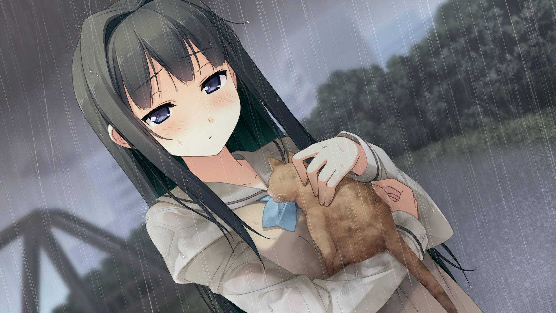 Animejente som holder katt Nightcore Bakgrunner