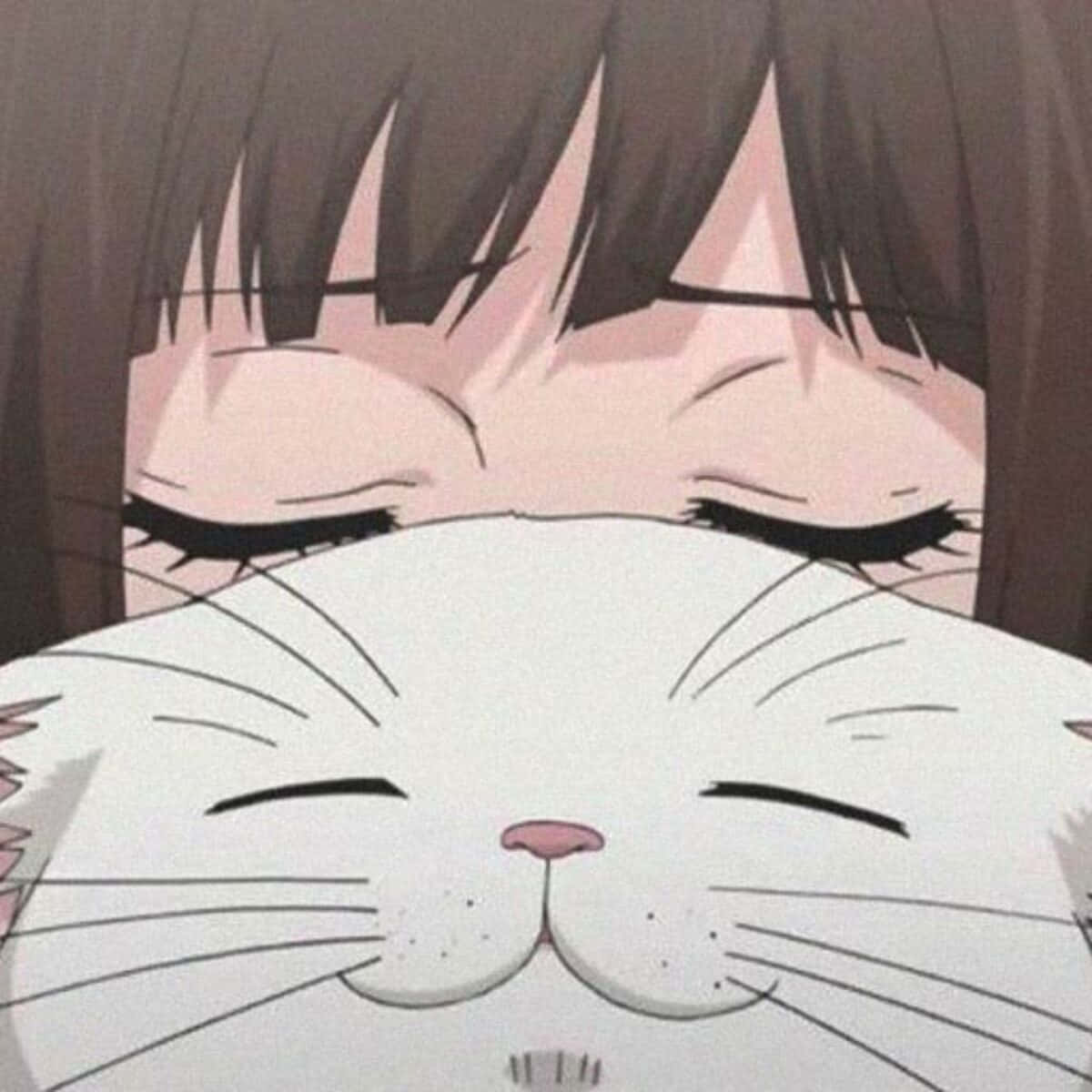 Animejenter Profilbilde Katt Bakgrunner