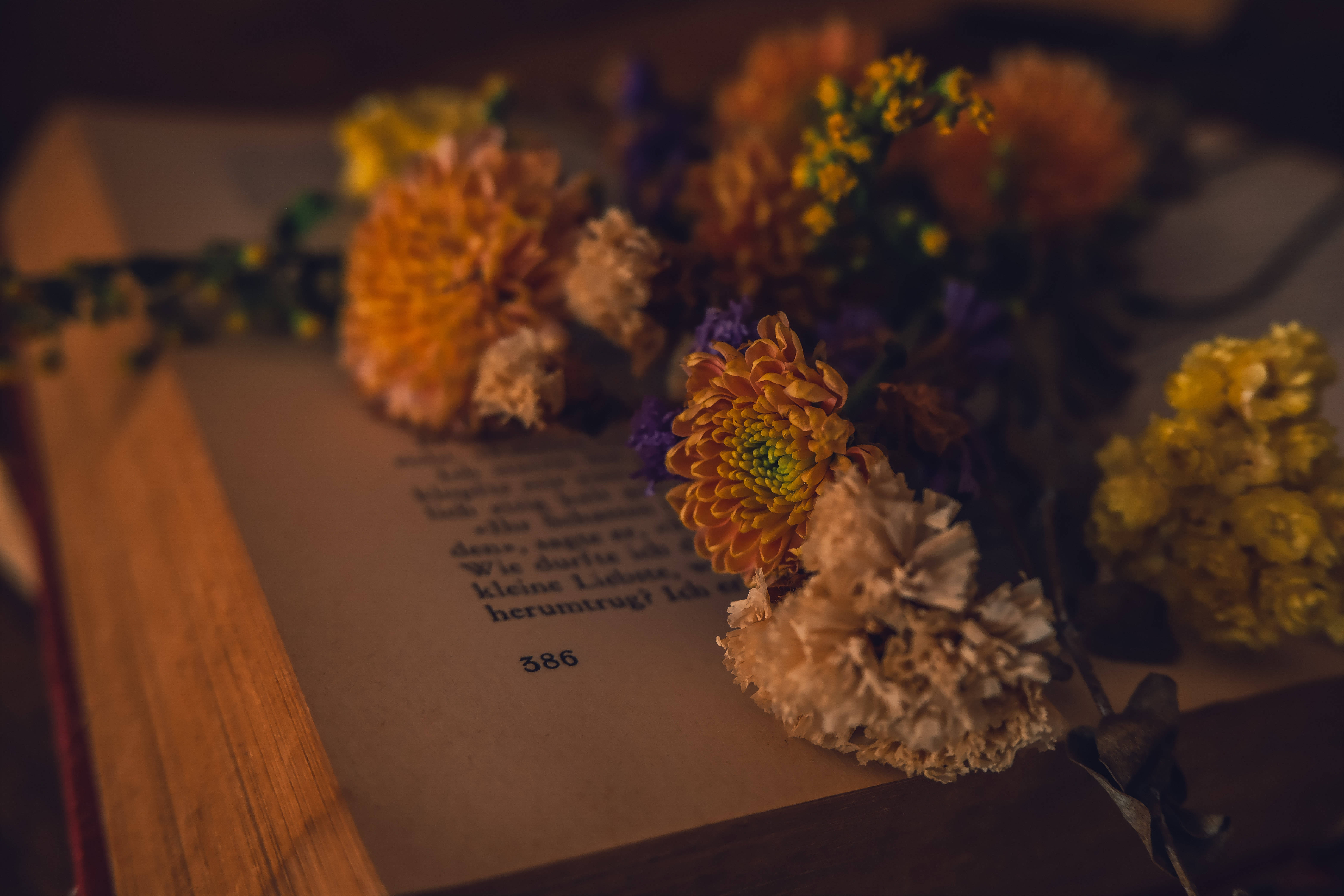 Åpen bok med blomster Dark Academia skrivebord Bakgrunner