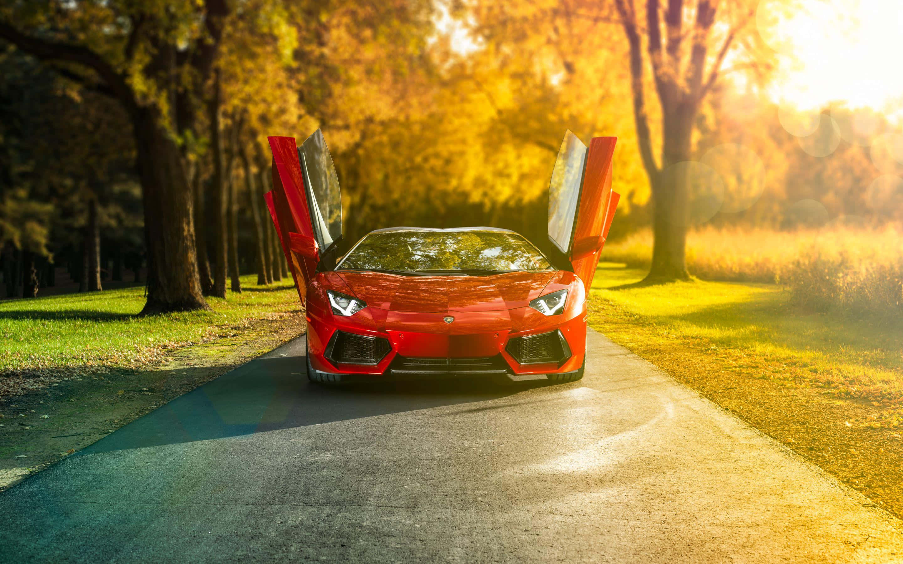 Åpen dør Lamborghini Aventador Bakgrunner