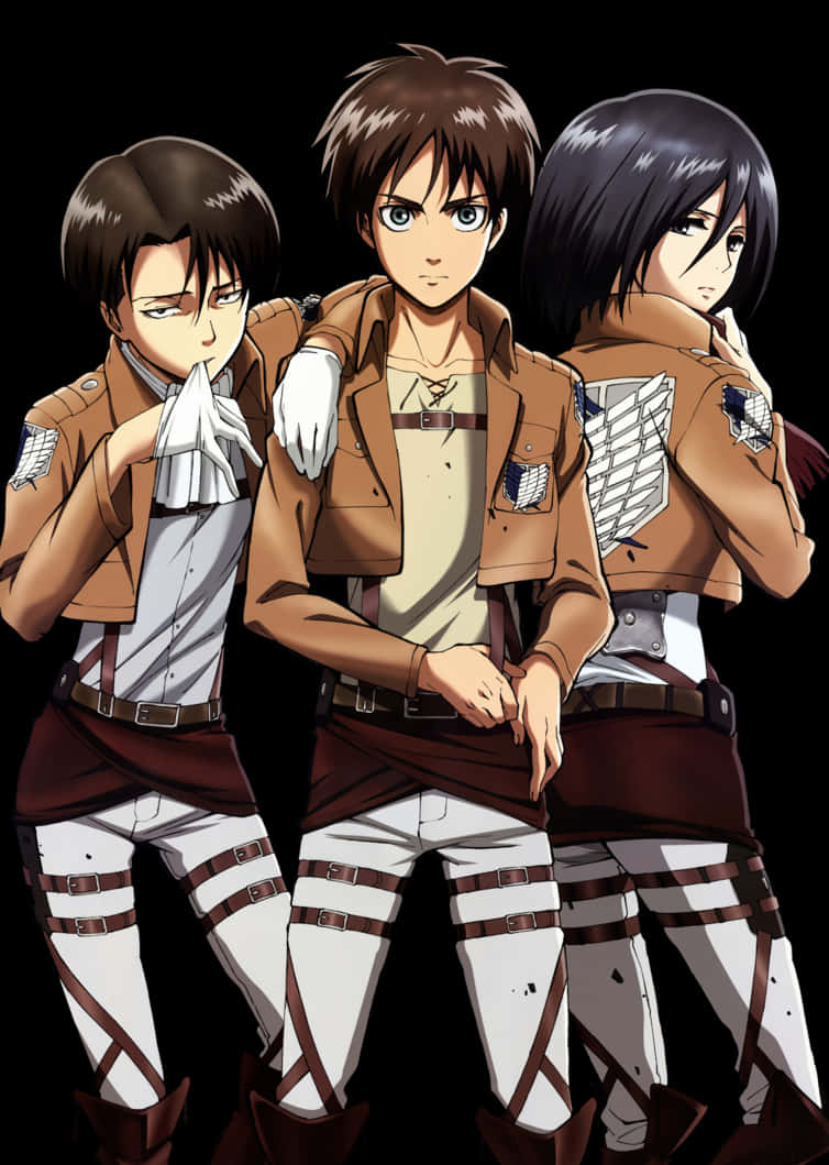 Attack on Titan Hovedkarakterer Bakgrunner