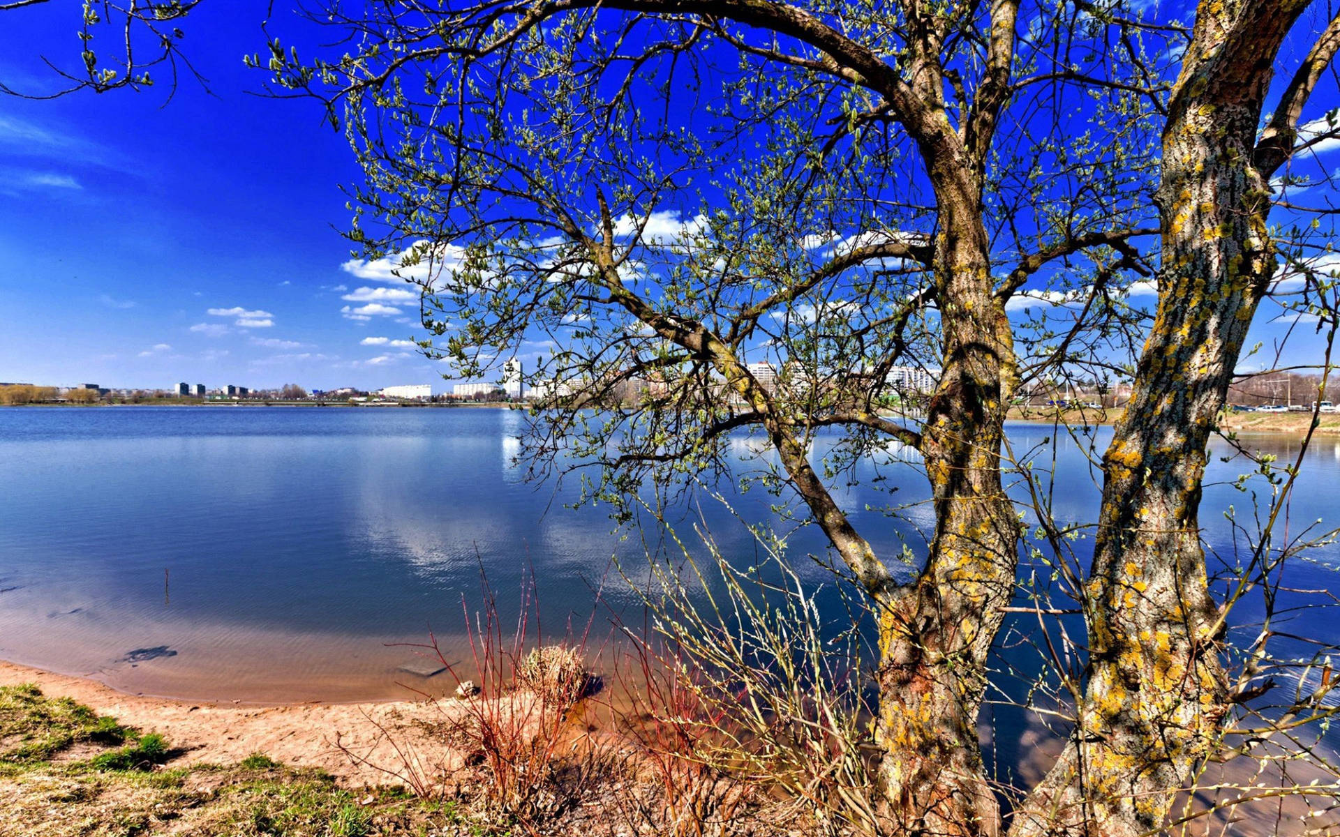 Attraktiv innsjø natur bakgrunnsbilde