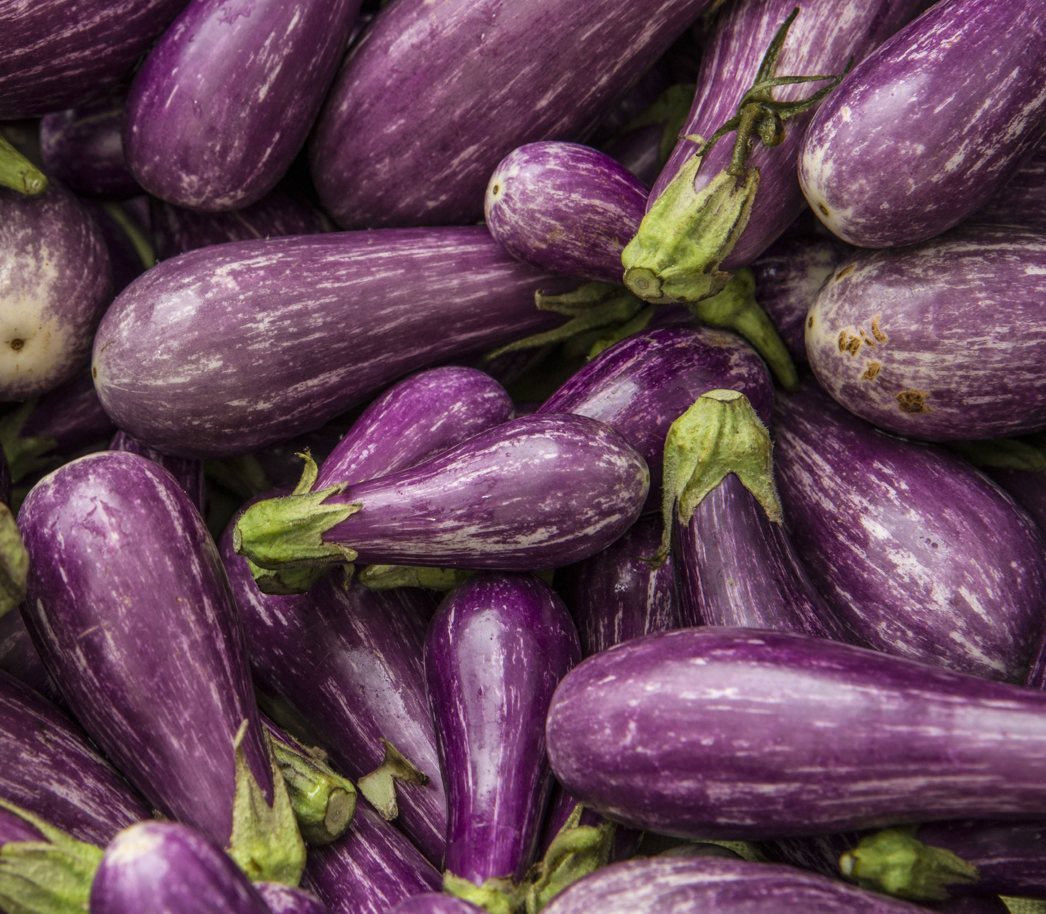 Aubergine Eventyrsort Bakgrunner