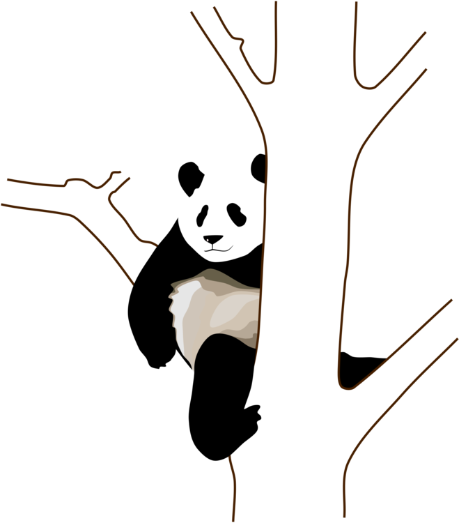 Avslappet panda som klamrer seg til tre Bakgrunner