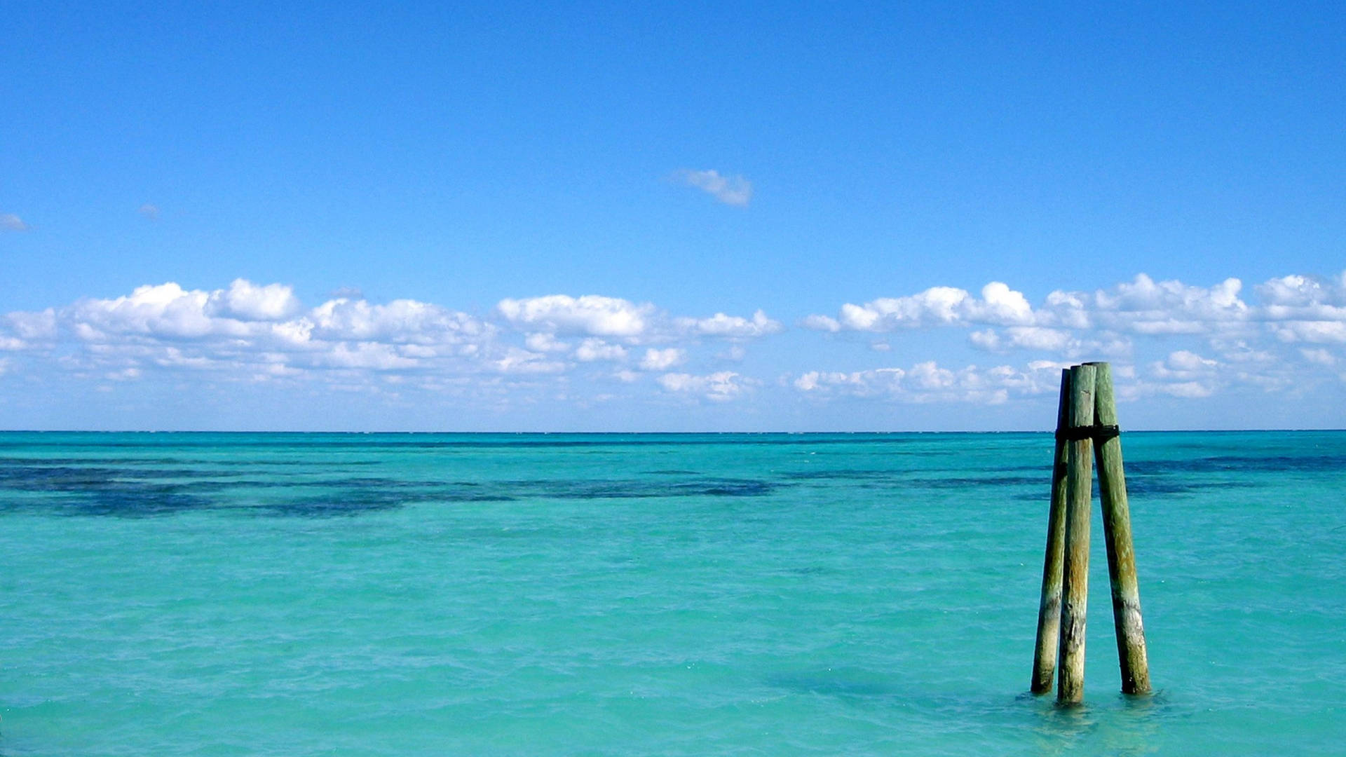 Bahamas havutsikt Bakgrunner