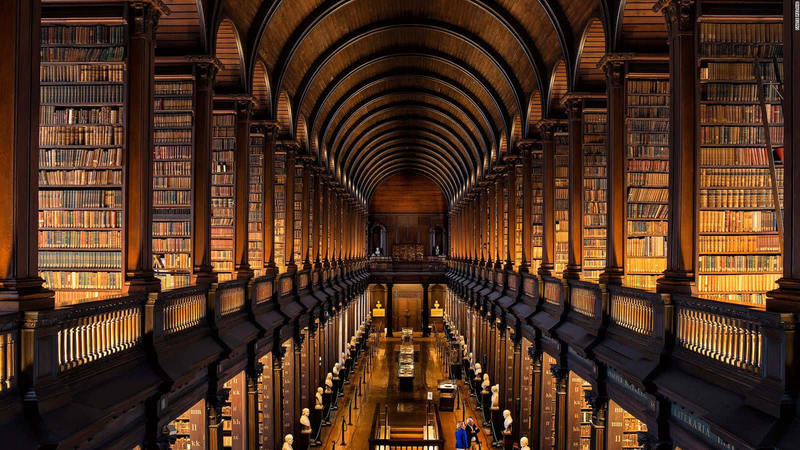 Bakgrunn fra Det gamle biblioteket i Dublin Bakgrunner
