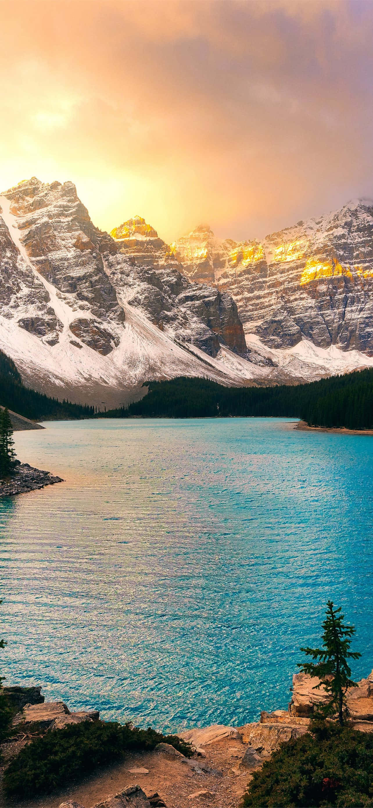 Banff nasjonalpark soloppgang Bakgrunner
