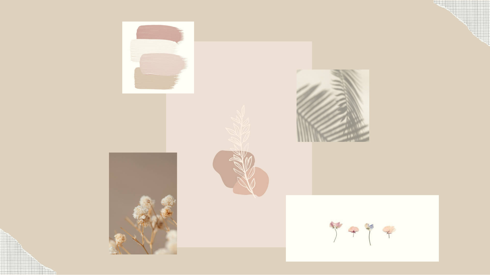 Beige bakgrunn med estetisk design Bakgrunner