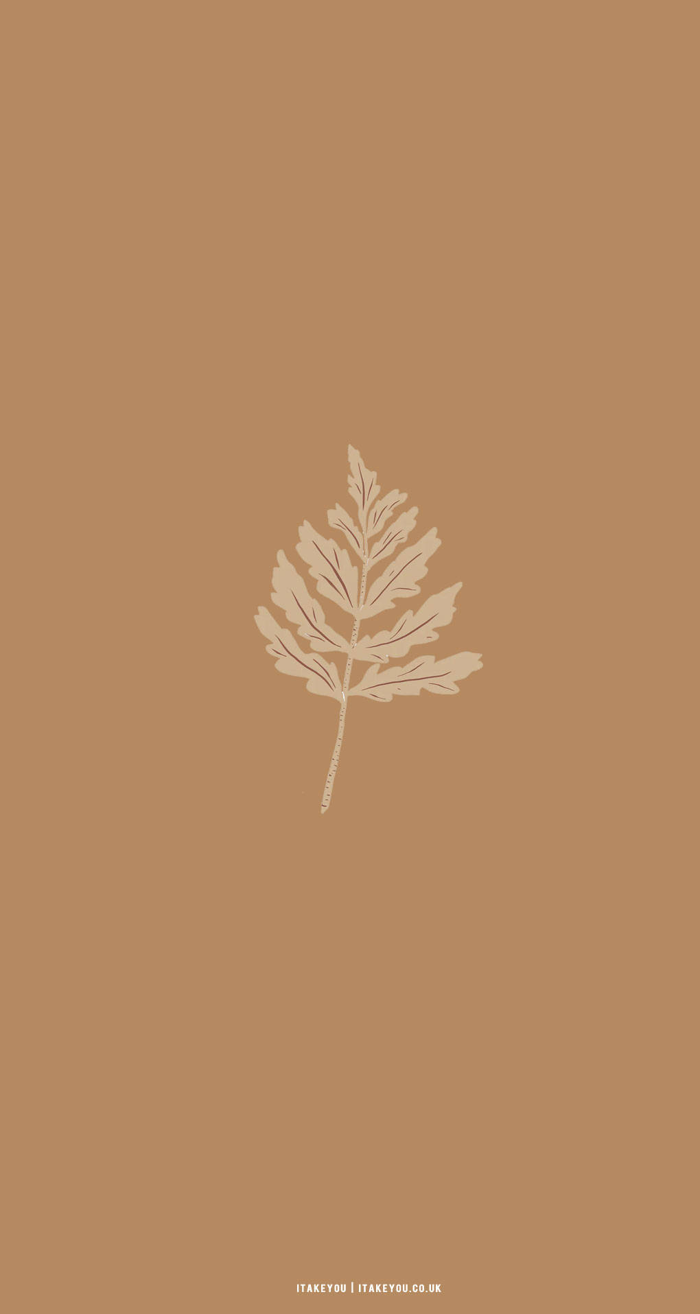 Beige Brun Estetisk Lønnblad Bakgrunner