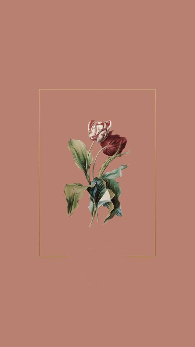 Beige estetisk blomst Bakgrunner
