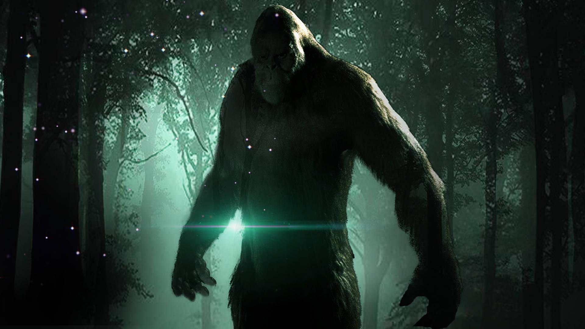 Bigfoot-skygger i grønn skog Bakgrunner